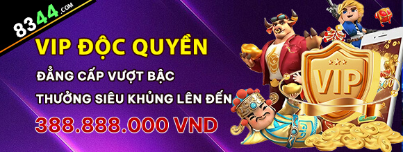 Hình ảnh quảng cáo của naga hiển thị nền tảng và các lợi ích