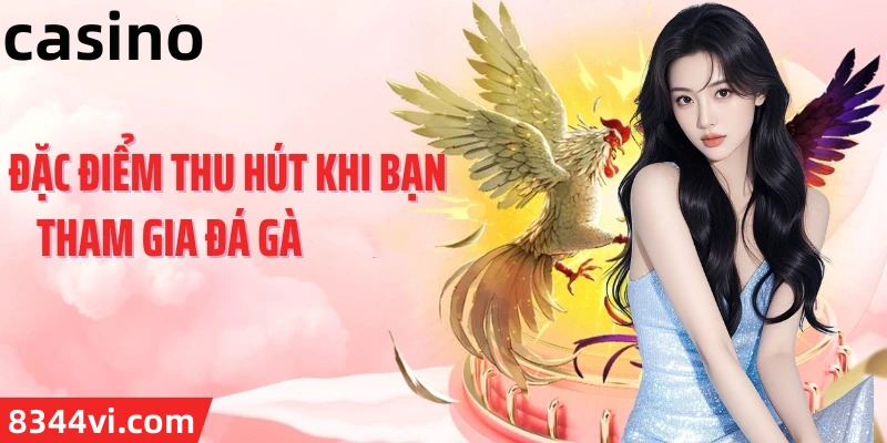 Hình ảnh quảng cáo của naga hiển thị nền tảng và các lợi ích