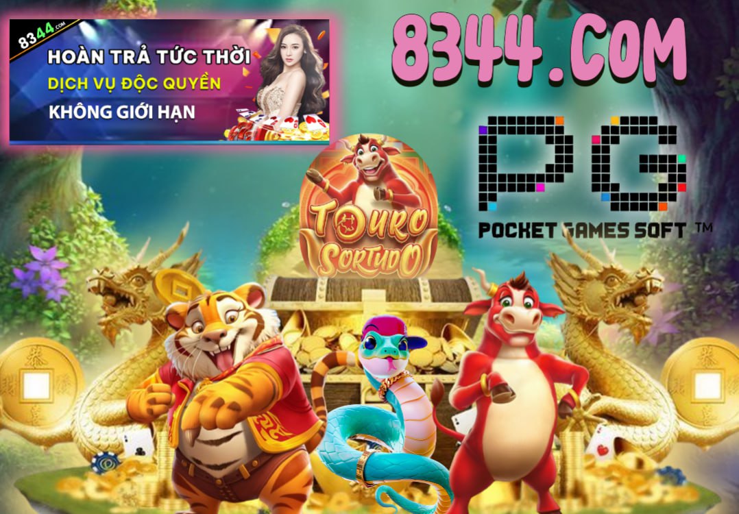 Hình ảnh quảng cáo của naga hiển thị nền tảng và các lợi ích