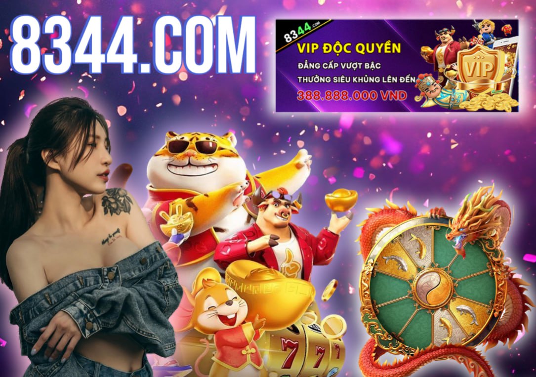 Hình ảnh quảng cáo của naga hiển thị nền tảng và các lợi ích