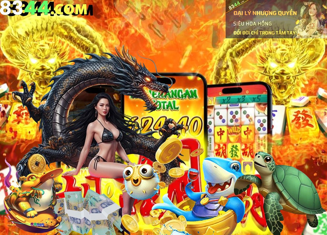 Hình ảnh quảng cáo của naga hiển thị nền tảng và các lợi ích